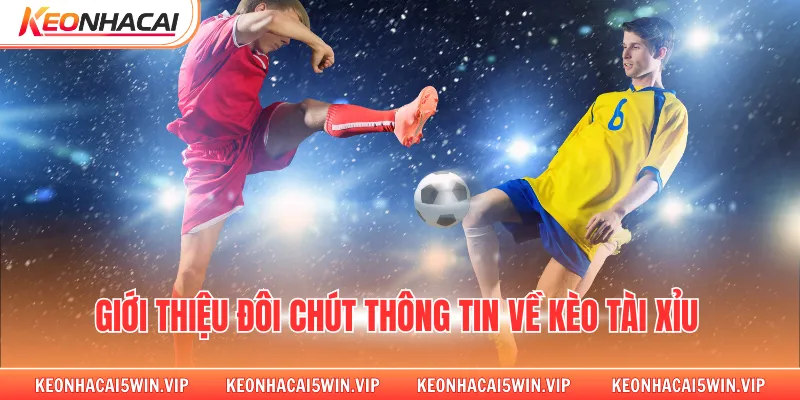 Giới thiệu đôi chút thông tin về kèo tài xỉu 